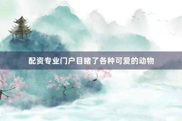 配资专业门户目睹了各种可爱的动物