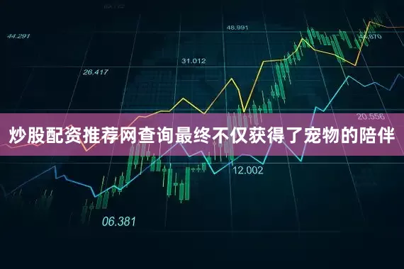 炒股配资推荐网查询最终不仅获得了宠物的陪伴