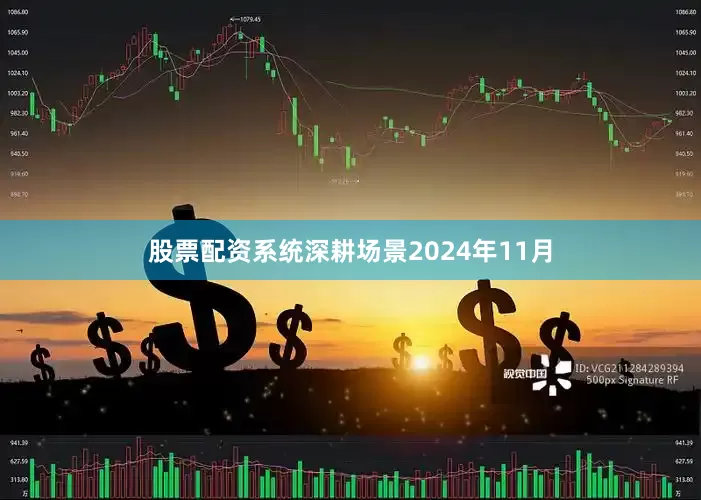 股票配资系统深耕场景　　2024年11月