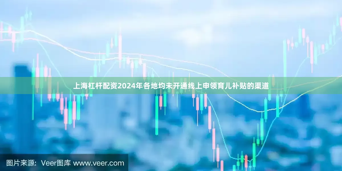 上海杠杆配资2024年各地均未开通线上申领育儿补贴的渠道